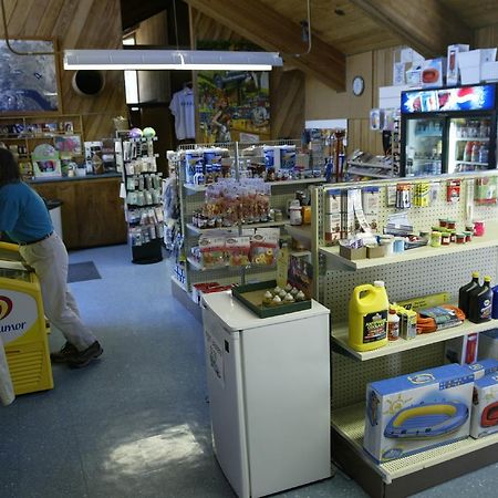 Snowflower Camping Resort Cabin 3 Emigrant Gap 外观 照片