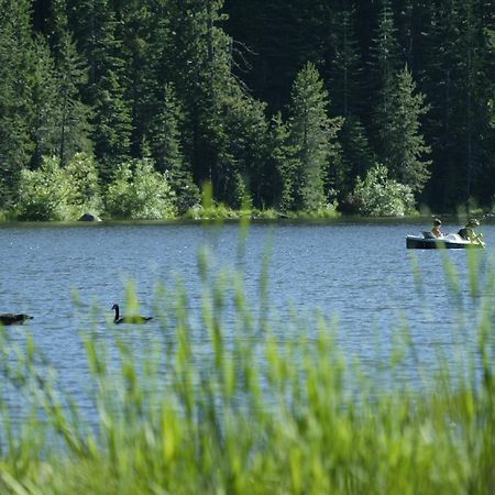 Snowflower Camping Resort Cabin 3 Emigrant Gap 外观 照片