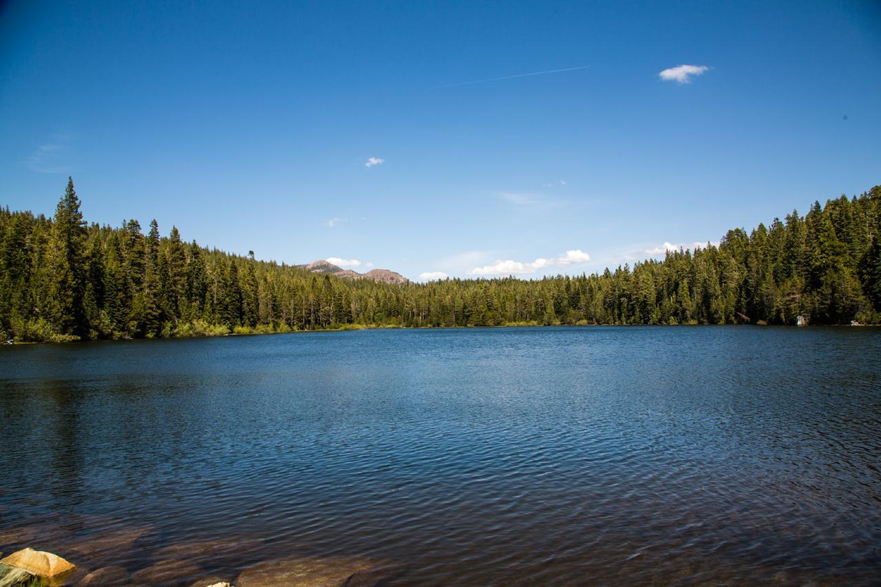 Snowflower Camping Resort Cabin 3 Emigrant Gap 外观 照片
